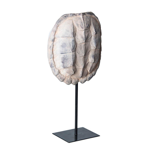 escultura-caparazon-tortuga- (1)