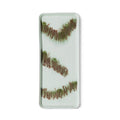 Platou multicolor din ceramica 70s Tide