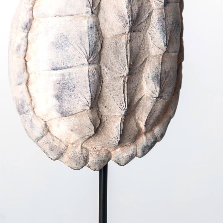 escultura-caparazon-tortuga- (2)